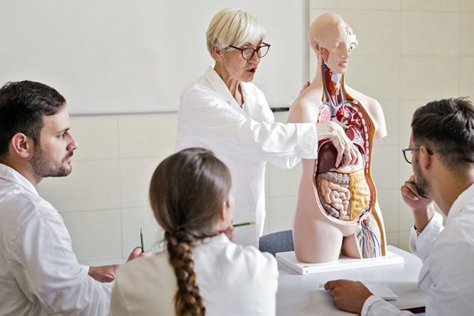 Une femme médecin forme les étudiants